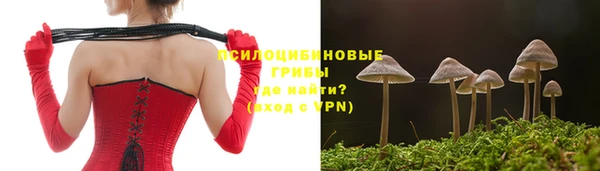 эйфоретик Алексин