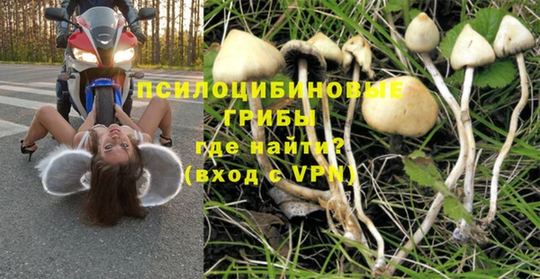 эйфоретик Алексин