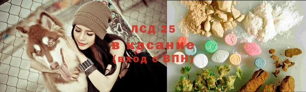 стафф Алзамай